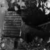 Bild11Adv.01