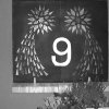 Bild6Adv.01