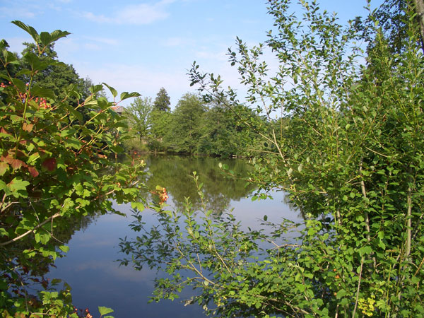 Sternenweiher 
