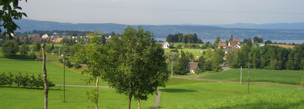 Quartier Grüenfeld vom Stollenrain